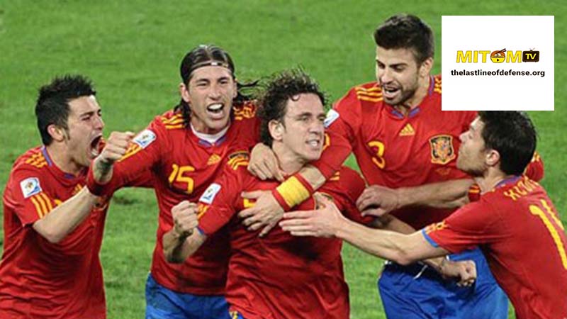 Đội hình Tây Ban Nha vô địch Euro 2012 - Tiền vệ và hậu vệ